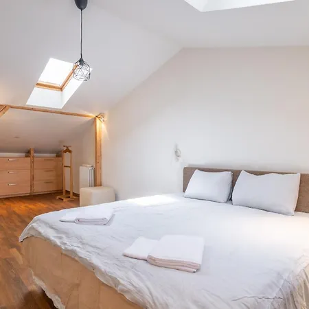 Elegant And Spacious Apartment Riga