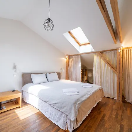 Elegant And Spacious Riga