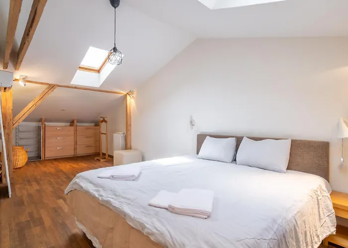 Elegant And Spacious Daire Riga