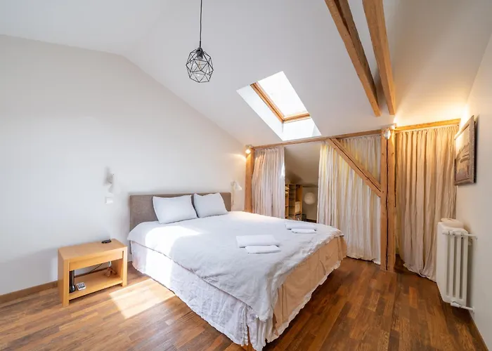 Elegant And Spacious Riga