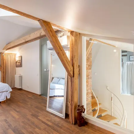 Elegant And Spacious リガ